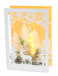 Objet décoratif décoratif en verre avec lumière LED blanche Mini sapin de Noël Lampe d'ambiance Guirlande lumineuse Décoration de Noël Image 3D Décoration de table Ornements 3D Image Cadeau Décoration