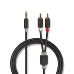Stereo lydkabel - minijack 3.5mm til 2xPhono (RCA) kabel - 3m
