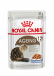 Royal Canin Ageing 12+ In Jelly Wet Cat Food - 12 X 85g