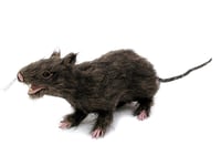 EUROPALMS Rat, lifelike with coat 30cm, Europalms Råtta, Naturtrogen med päls 30cm