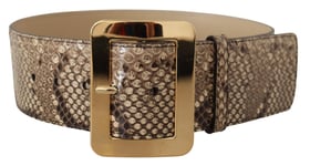 DOLCE & GABBANA Belt Brown Exotic Wide Waist Leather Gold Metal Buckle 65cm/2