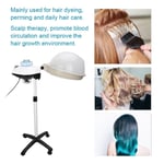 Adjustable Floor Hair Steamer for Quick Hair Dyeing at Salon UK