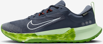 Nike Men's Waterproof Trail-running Shoes Juniper Trail 2 Gore-tex Juoksukengät THUNDER BLUE/VAPOUR GREEN/CHLOROPHYLL/LIGHT ARMOURY BLUE