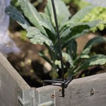 Nelson Garden Pallkragebåge svart, 2-pack