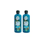 Herbal Essences Bio:Renew Argan Oil Of Morocco Shampoo, 400Ml X 2