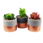 14cm Set of Three Stoneware Mini Copper Band Planters with Artificial Succulent Plants