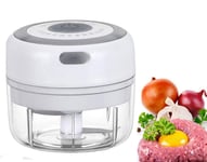 Liseng Electric Garlic Masher,Mini Food Chopper Electric,Mini Food Processors with USB Charging Portable Vegetable Fruit Meat Garlic Onion Ginger Chopper,Kitchen Gadget, 100ml White