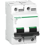 SCHNEIDER ELECTRIC C120N JSK 2P C 100A 10KA (A9N18362)