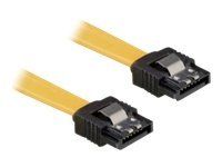 DeLOCK Cable SATA - Serial ATA-Kabel - 70 cm