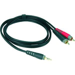 AY7-0300 MINI JACK - 2 RCA 3 M