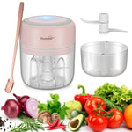 BlumWay 2 Pieces Mini Onion Cutter, Electric Kitchen Chopper Multi Chopper with USB Rechargeable Garlic Cutter for Baby Food, Meat, Garlic, Fruit, 250 & 100ml