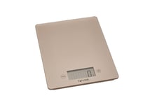 Taylor Pro Glass Digital Kitchen Food Weighing Scales in gift box -Copper
