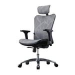 YZT QUEEN Ergonomic Office Chair, Ergonomic Chair Computer Chair Home Comfortable Mesh Engineering Office Chair Study Chair Gaming Seat with Adjustable Headrest And Lumbar Support,Gray