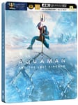 - Aquaman 2: And The Lost Kingdom Limited Steelbook ICE Edition 4K Ultra HD