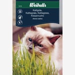 Gräs, Kattgräs