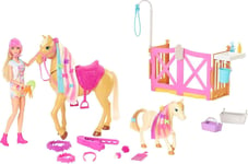 Barbie Groom 'n Care Horses Playset with Barbie Doll (Blonde 11.5-in), 2 Horses