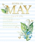 Born In May Birthday Card Female - Foil - Premium Quality - Cherry Orchard