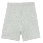 Nike Park Fleece Shorts Grey 8-9 Years Boy