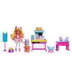 Enchantimals Coffret de Jeu Bêtes Citadine, Cabinet du Docteur Chat avec poupée, Figurine de Chat, Meubles et Accessoires, Jouet Enfant, Dès 3 Ans, HLH22