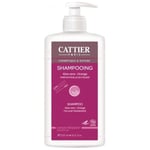 Shampooing pierre cattier bio usage fréquent sans sulfates - 500ml