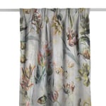 Designers Guild Tulipa Stellata Birch Gardinlängd
