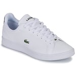 Lacoste Baskets basses CARNABY PRO Homme
