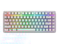 Alienware Pro Wireless Gaming Keyboard - Tangentbord - 75% - Compact Tkl - Alienfx Per Tangent Rgb / 16,8 Miljoner Färger - Trådlös - 2.4 Ghz, Bluetooth 5.1, Usb - Tangentbrytare: Alienware Linjära Mekaniska Brytare (För Hotswap) - Månljus