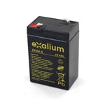 EXALIUM Batterie Plomb 6V 4Ah Exalium EXA4-6