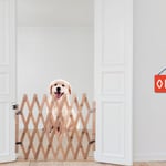 Justerbar hopfällbar hundgrind i trä, dörrgrind för inomhusbruk, trappgrind, säkerhetsgrind för husdjur och valpar