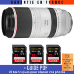 Canon RF 100-500mm f/4.5-7.1L IS USM + 3 SanDisk 32GB UHS-II 300 MB/s + Guide PDF '20 TECHNIQUES POUR RÉUSSIR VOS PHOTOS