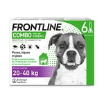 FRONTLINE Combo Chien - Anti-puces et anti-tiques pour chien - 20-40kg - 6 pipettes
