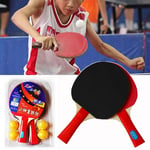 Handle Ping Pong Paddle With 4 Training Balls Table Tennis Racket 5 Layer Wood