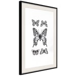 Plakat - Five Butterflies - 40 x 60 cm - Sort ramme med passepartout