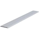 HABO DÖRRTRÖSKEL SILVER 100X2000MM