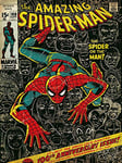 Spider-Man WDC90408 Toile Imprimée, Multicolore, 60 x 80 cm
