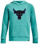 Sweatshirt med huva Under Armour Project Rock Rival Fleece Applique 1374930-370 Storlek YLG 750