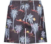 Sunpalm Volley M badshorts Herr BLACK M