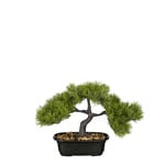 BONSAI 