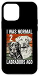 iPhone 12 mini I Was Normal 2 Labradors Ago Funny Retro Sunset Case