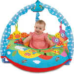 Galt Toys, Playnest and Gym - Farm, Sit Me Up Baby Seat, Ages 0 Months Plus