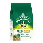 James Wellbeloved Adult Dog Hypoallergenic Turkey & Rice - Ekonomipack: 2 x 12 kg