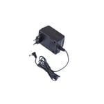 RockPower NT 21 - Power Supply Adapter 9V AC, 2.100 mA, Euro Plug