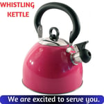 2.5L Whistling Kettle Stainless Steel Camping Teapot Trips Water Boil Teakettles