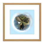 Little Planet Effect An Teallach Scotland Panorama View Photo 8X8 Inch Square Wooden Framed Wall Art Print Picture with Mount