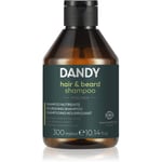 DANDY Beard & Hair Shampoo Skæg- og hårshampoo 300 ml