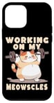 Coque pour iPhone 12 mini Je travaille sur My Meowscles Funny Fitness Chonk Cat