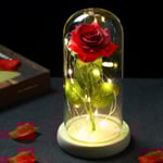 Led galaxy ros evig blomma med fairy string ljus 017