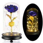 Dricar Beauty and The Beast Rose, Romantic 24K Gold Foil Rose in Transparent Dome with LED String Light, Forever Flower Gifts for Christmas Valentine's Day Mother's Day Wedding Birthday (Blue)