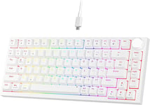 NEWMEN GM326 Mechanical Keyboard,Wired Gaming Keyboard,75% Percent TKL Hot LED C