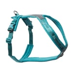 Non Stop Dogwear Line Hundesele 5.0, turkis (6)